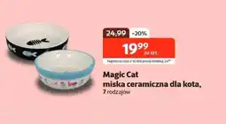 Kakadu Magic Cat miska ceramiczna oferta