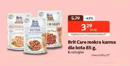 Kakadu Brit Care mokra karma dla kota oferta