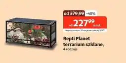 Kakadu Repti Planet terrarium szklane oferta