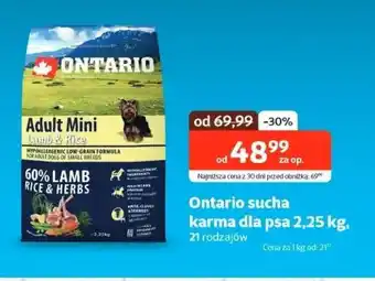 Kakadu Ontario sucha karma dla psa oferta
