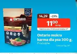Kakadu Ontario mokra karma dla psa oferta