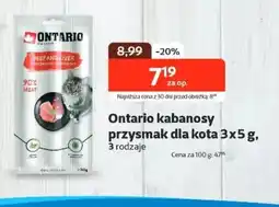 Kakadu Ontario kabanosy przysmak dla kota oferta
