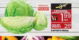 Wafelek Kapusta biała oferta