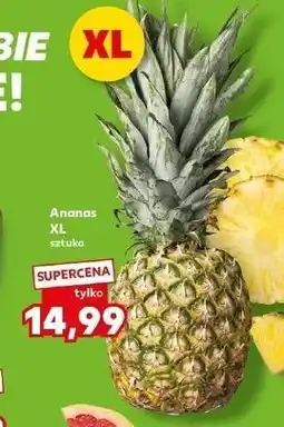 Kaufland Ananas XL oferta