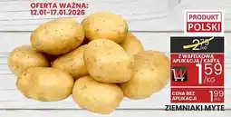Wafelek Ziemniaki młode oferta