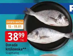 E.Leclerc Dorada Scapmaree oferta