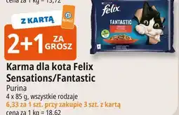 E.Leclerc Karma dla kota wołowina i kurczak Purina Felix Fantastic oferta