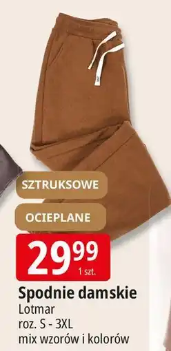 E.Leclerc Spodnie damskie s-3xl Lotmar oferta