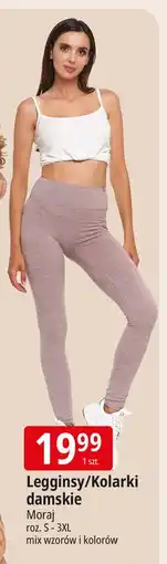 E.Leclerc Kolarki damskie s-3xl Moraj oferta