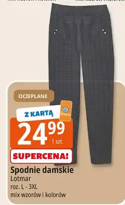 E.Leclerc Spodnie damskie l-3xl Lotmar oferta