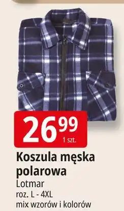 E.Leclerc Koszula męska polarowa Lotmar oferta