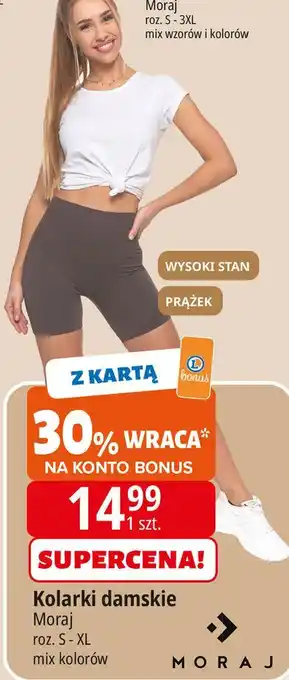 E.Leclerc Kolarki damskie s-xl Moraj oferta