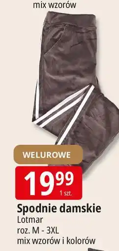 E.Leclerc Spodnie damskie dresowe m-3xl Lotmar oferta