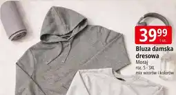 E.Leclerc Bluza damska s-3xl Moraj oferta