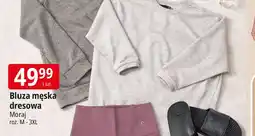 E.Leclerc Bluza męska rozm. m-3xl Moraj oferta