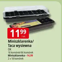 E.Leclerc Miniszklarnia 18 komórek Ok Katarzyna Ostrowska oferta