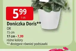 E.Leclerc Doniczka doris 17 cm O.k oferta