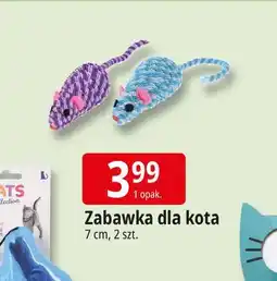 E.Leclerc Zabawka dla kota oferta