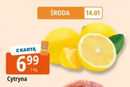 E.Leclerc Cytryny oferta