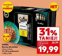 Kaufland SHEBA Karma dla kotów oferta