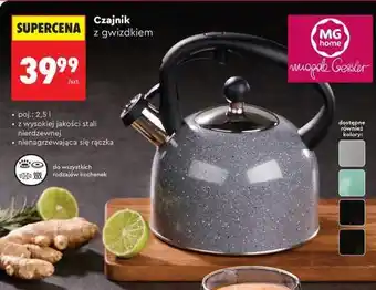 Biedronka Czajnik z gwizdkiem oferta
