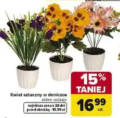 Carrefour Kwiat sztuczny w doniczce różne rodzaje oferta