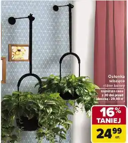 Carrefour Osłonka wisząca różne kolory oferta