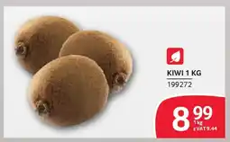 Selgros Kiwi oferta