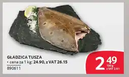 Selgros Gładzica tusza oferta