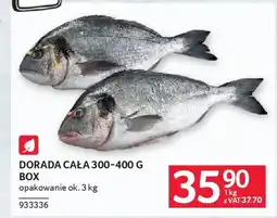 Selgros Dorada cała box oferta