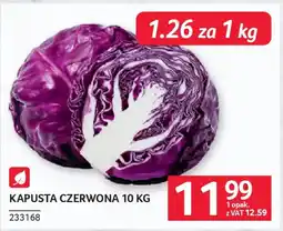 Selgros Kapusta czerwona oferta