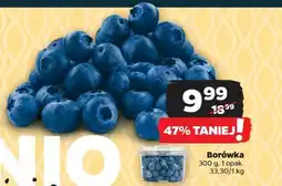 Netto Borówka oferta
