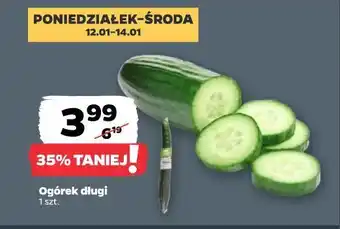 Netto Ogórek długi oferta