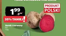 Netto Burak czerwony luz oferta