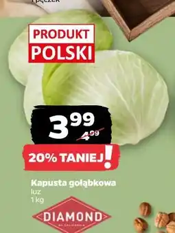 Netto Kapusta gołąbkowa luz oferta