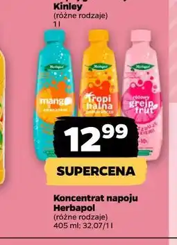 Netto Koncentrat napoju Herbapol oferta