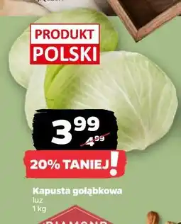 Netto Kapusta gołąbkowa oferta
