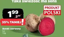 Netto Burak czerwony oferta
