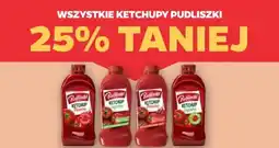 Netto Wszystkie ketchupy Pudliszki oferta