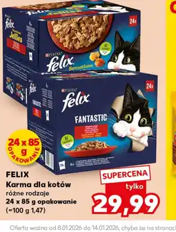 Kaufland Karma dla kota Felix oferta