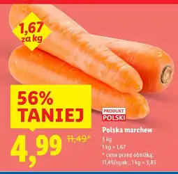 Lidl Polska marchew oferta