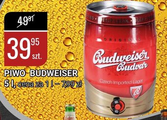 bi1 Piwo Budweiser Budvar 5l oferta