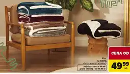 Carrefour Koc SHERPA oferta