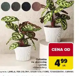 Carrefour Osłonka na doniczkę Lotos oferta