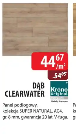 DDD Kronopol Dąb Clearwater oferta