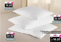Woolworth Poduszka z wypełnieniem oferta