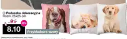 Woolworth Poduszka dekoracyjna oferta