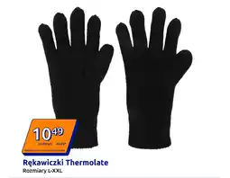 Action Rękawiczki Thermolate oferta