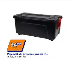 Action Pojemnik do przechowywania Iris oferta
