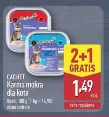 ALDI CACHET Karma mokra dla kota oferta